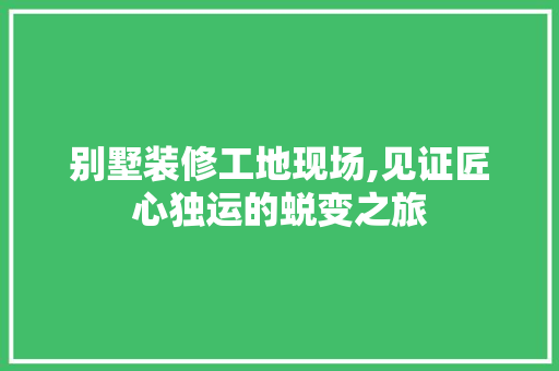 别墅装修工地现场,见证匠心独运的蜕变之旅