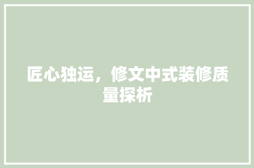 匠心独运，修文中式装修质量探析