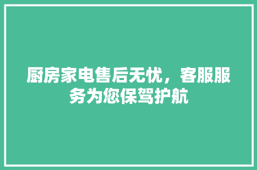 厨房家电售后无忧，客服服务为您保驾护航