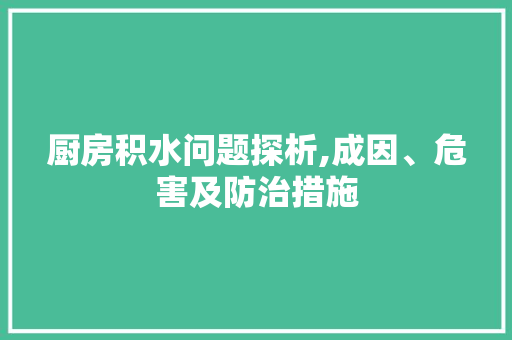 厨房积水问题探析,成因、危害及防治措施