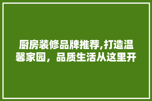 厨房装修品牌推荐,打造温馨家园，品质生活从这里开始