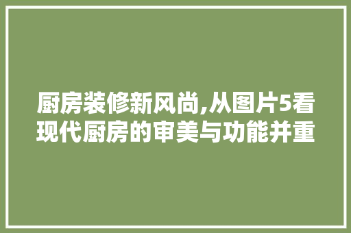 厨房装修新风尚,从图片5看现代厨房的审美与功能并重