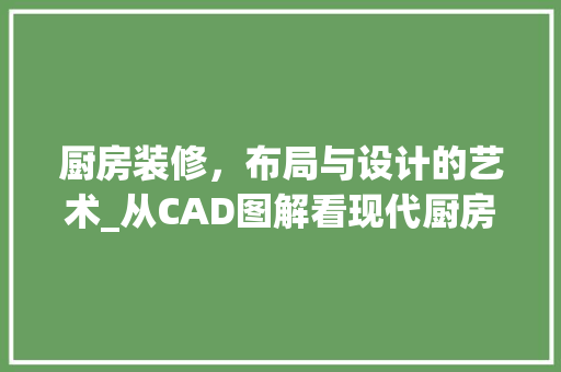 厨房装修，布局与设计的艺术_从CAD图解看现代厨房空间优化