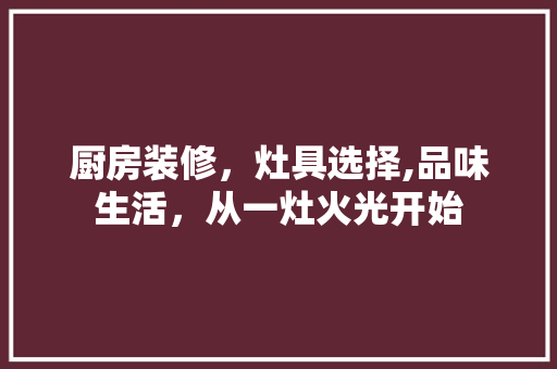 厨房装修，灶具选择,品味生活，从一灶火光开始
