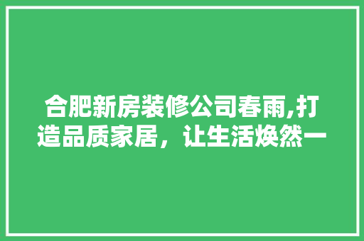 合肥新房装修公司春雨,打造品质家居，让生活焕然一新