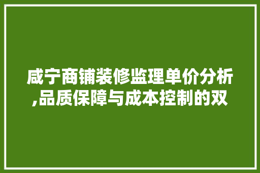 咸宁商铺装修监理单价分析,品质保障与成本控制的双重考量