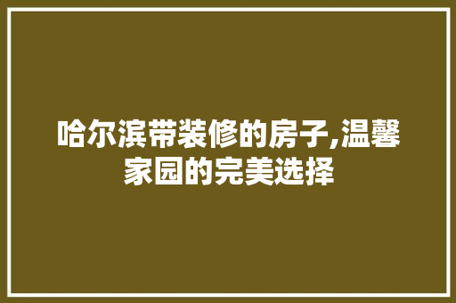 哈尔滨带装修的房子,温馨家园的完美选择