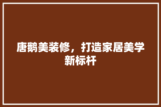 唐鹅美装修，打造家居美学新标杆