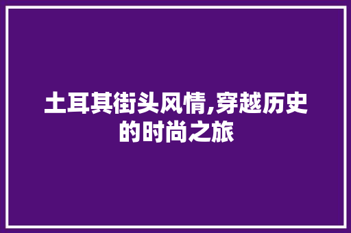 土耳其街头风情,穿越历史的时尚之旅