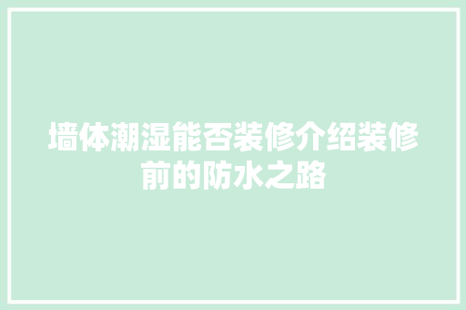 墙体潮湿能否装修介绍装修前的防水之路