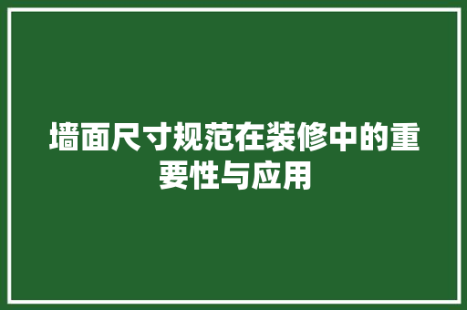 墙面尺寸规范在装修中的重要性与应用