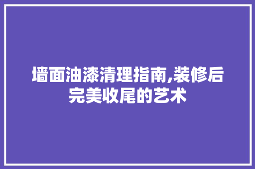 墙面油漆清理指南,装修后完美收尾的艺术