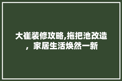 大崔装修攻略,拖把池改造，家居生活焕然一新