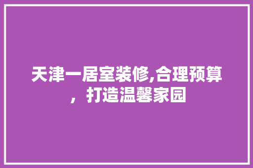 天津一居室装修,合理预算，打造温馨家园