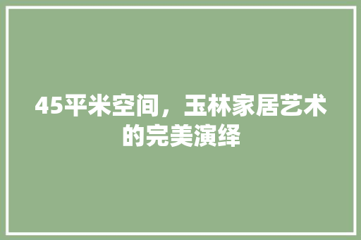 45平米空间，玉林家居艺术的完美演绎
