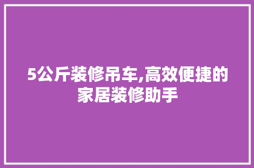 5公斤装修吊车,高效便捷的家居装修助手