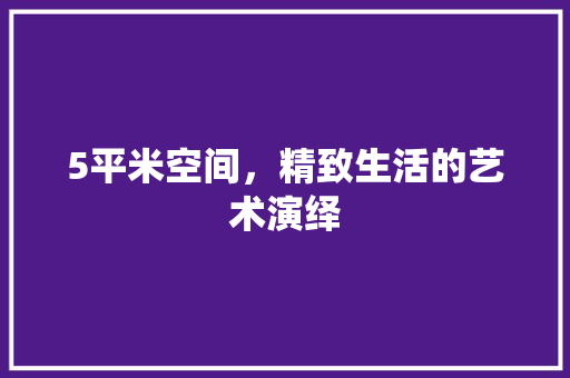 5平米空间，精致生活的艺术演绎