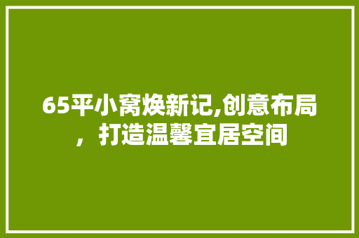 65平小窝焕新记,创意布局，打造温馨宜居空间