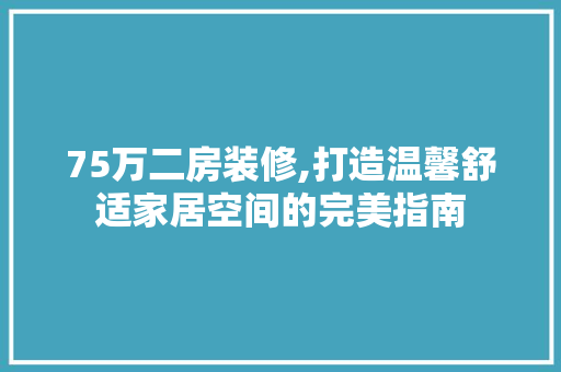 75万二房装修,打造温馨舒适家居空间的完美指南