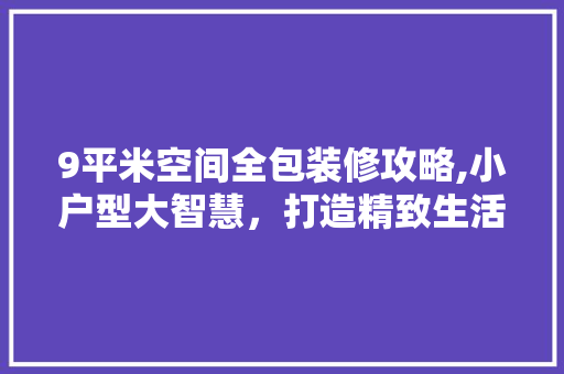 9平米空间全包装修攻略,小户型大智慧，打造精致生活空间
