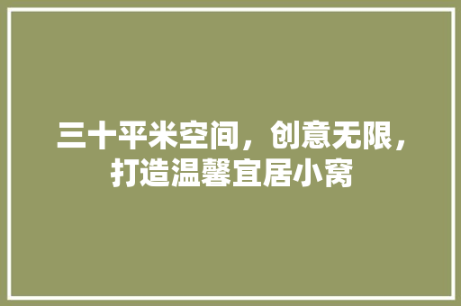 三十平米空间，创意无限，打造温馨宜居小窝