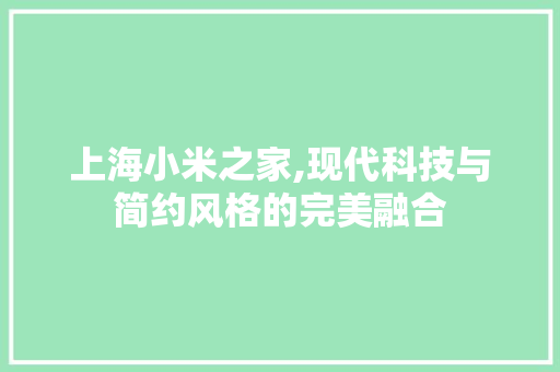 上海小米之家,现代科技与简约风格的完美融合
