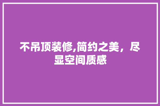 不吊顶装修,简约之美，尽显空间质感