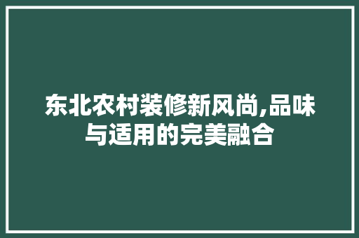 东北农村装修新风尚,品味与适用的完美融合