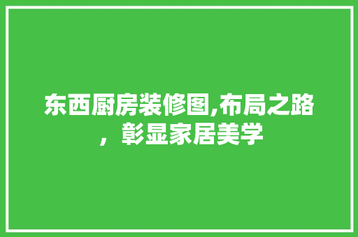 东西厨房装修图,布局之路，彰显家居美学