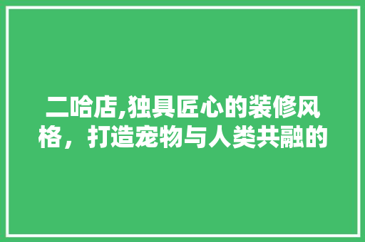 二哈店,独具匠心的装修风格，打造宠物与人类共融的温馨家园