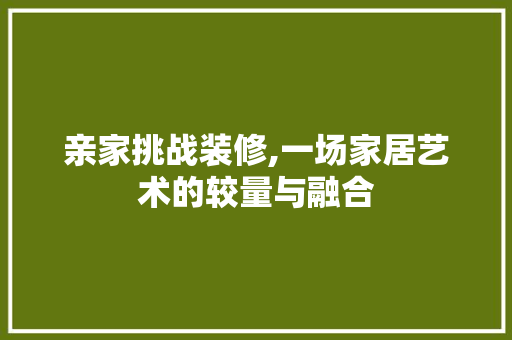亲家挑战装修,一场家居艺术的较量与融合