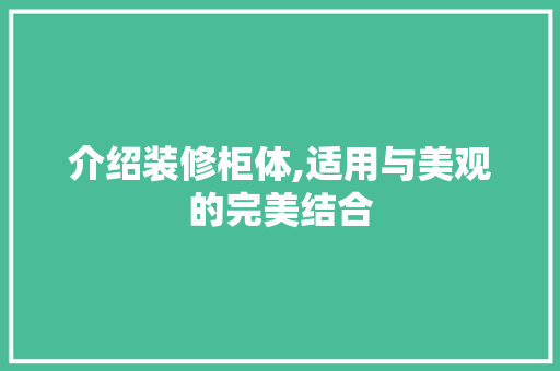 介绍装修柜体,适用与美观的完美结合