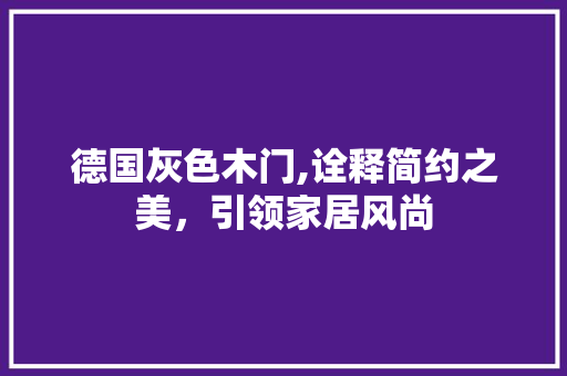 德国灰色木门,诠释简约之美，引领家居风尚