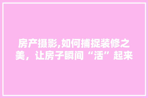 房产摄影,如何捕捉装修之美，让房子瞬间“活”起来