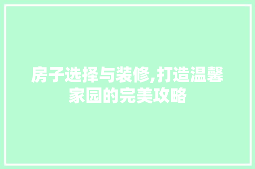 房子选择与装修,打造温馨家园的完美攻略