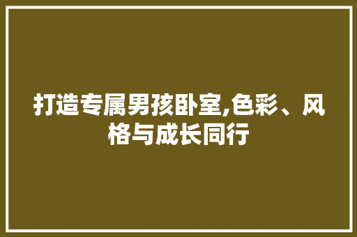 打造专属男孩卧室,色彩、风格与成长同行