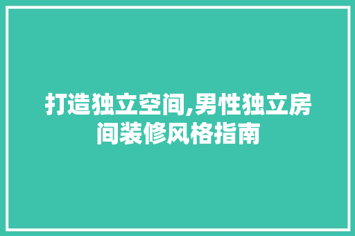 打造独立空间,男性独立房间装修风格指南
