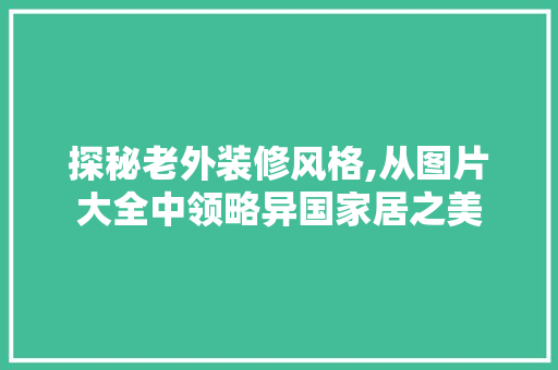 探秘老外装修风格,从图片大全中领略异国家居之美