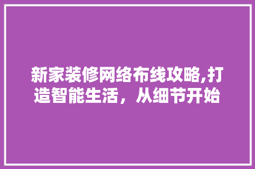 新家装修网络布线攻略,打造智能生活，从细节开始