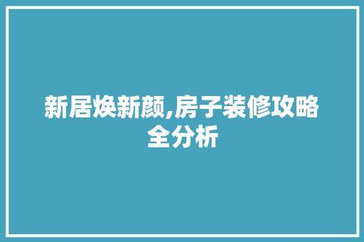 新居焕新颜,房子装修攻略全分析