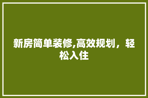 新房简单装修,高效规划，轻松入住