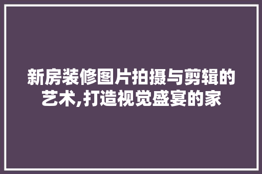 新房装修图片拍摄与剪辑的艺术,打造视觉盛宴的家
