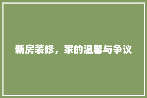 新房装修，家的温馨与争议