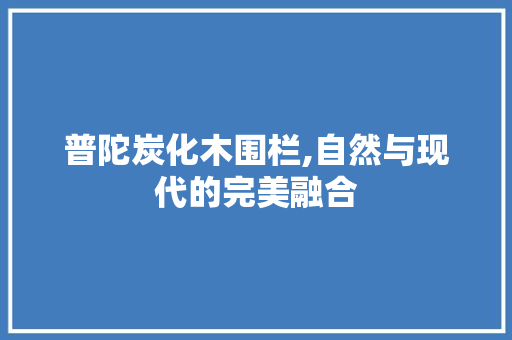 普陀炭化木围栏,自然与现代的完美融合