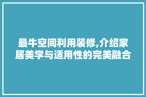 最牛空间利用装修,介绍家居美学与适用性的完美融合