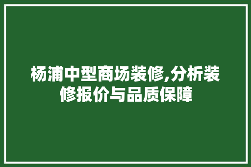 杨浦中型商场装修,分析装修报价与品质保障