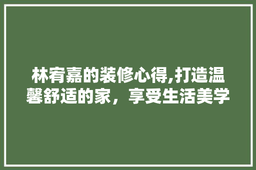 林宥嘉的装修心得,打造温馨舒适的家，享受生活美学