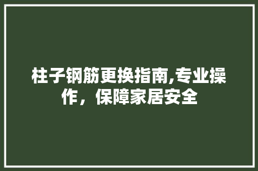 柱子钢筋更换指南,专业操作，保障家居安全