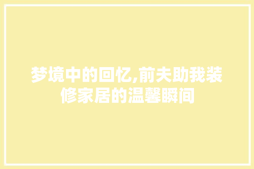 梦境中的回忆,前夫助我装修家居的温馨瞬间