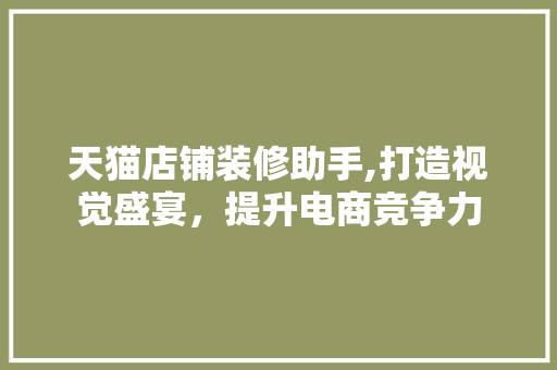 天猫店铺装修助手,打造视觉盛宴，提升电商竞争力